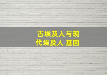 古埃及人与现代埃及人 基因